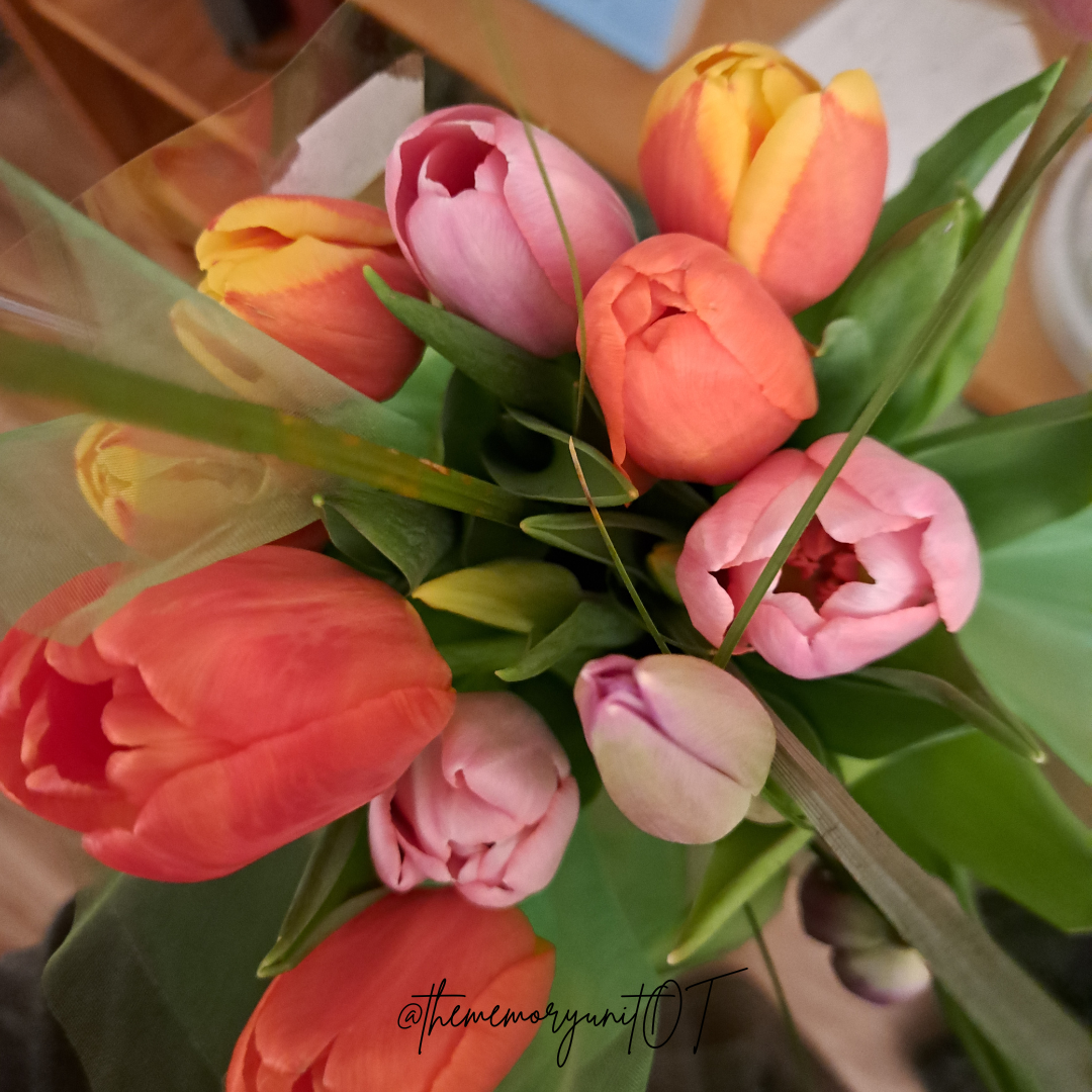 Friday Feels // 4.8.2023 – The Memory Unit OT